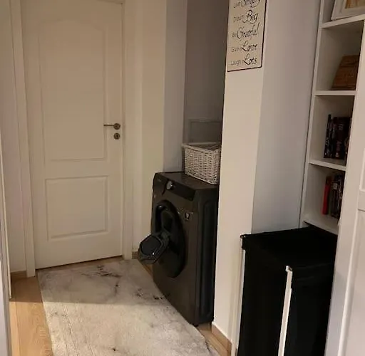 Modern & Cozy 2