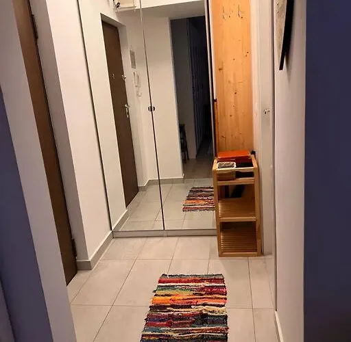 Modern & Cozy 2